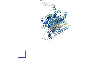 Protein Structure (PS) image for Solute Carrier Family 26 (Sulfate Transporter), Member 7 (SLC26A7) (AA 1-656) protein (His tag) (ABIN7564694)