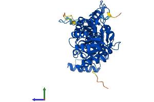 Protein Structure (PS) image for Nicotinamide phosphoribosyltransferase (NAMPT) (AA 1-491) protein (His tag) (ABIN7564888)