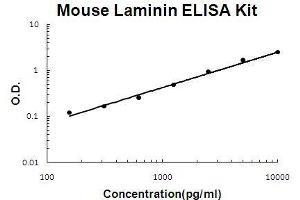 Mouse Laminin PicoKine ELISA Kit standard curve (Laminin ELISA 试剂盒)