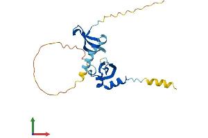 Protein Structure (PS) image for Chromobox Homolog 5 (CBX5) (AA 1-191) protein (His tag) (ABIN7553080)