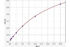 Glucose-6-Phosphate Isomerase (GPI) ELISA Kit