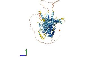 Protein Structure (PS) image for Anoctamin 1, Calcium Activated Chloride Channel (ANO1) (AA 1-960) protein (His tag) (ABIN7564360)