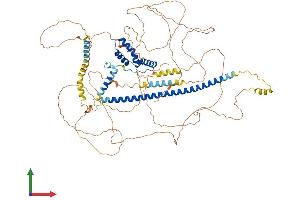 Protein Structure (PS) image for SRY (Sex Determining Region Y)-Box 6 (SOX6) (AA 1-828) protein (His tag) (ABIN7546147)