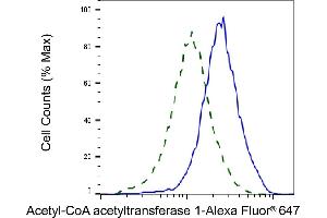 Validation of Acetyl-CoA acetyltransferase 1 knockdown using flow cytometry. (Recombinant ACAT1 抗体)