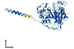 Protein Structure (PS) image for ST3 beta-Galactoside alpha-2,3-Sialyltransferase 6 (ST3GAL6) (AA 1-331) protein (His tag) (ABIN7546091)