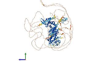 Protein Structure (PS) image for Ring Finger and CCCH-Type Domains 1 (RC3H1) (AA 1-1130) protein (His tag) (ABIN7563785)