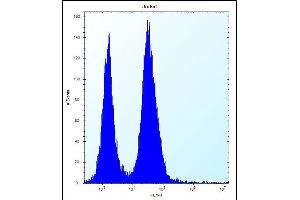Flow Cytometry (FACS) image for anti-Signal Sequence Receptor, beta (Translocon-Associated Protein Beta) (SSR2) (AA 154-183), (C-Term) antibody (ABIN657094)