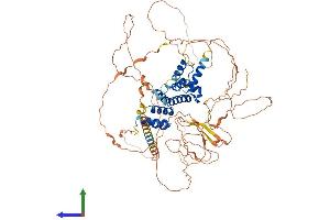 Protein Structure (PS) image for Homeobox protein SIX5 (SIX5) (AA 1-719) protein (His tag) (ABIN7563513)
