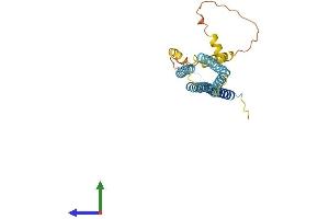 AlphaFold protein structure predicition of Mouse Recombinant Hvcn1 Protein, UniprotID Q3U2S8