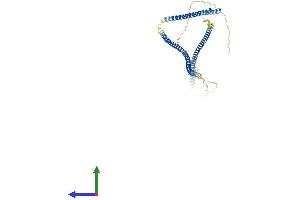 Protein Structure (PS) image for Mirror-Image Polydactyly 1 (MIPOL1) (AA 1-442) protein (His tag) (ABIN7549396)