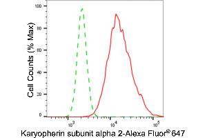 Flow cytometric analysis of karyopherin subunit alpha 2 expression in HepG2 cells using karyopherin subunit alpha 2 antibody (ABIN7800945), 1:2,000). (Recombinant Importin Subunit alpha-1 (KPNA2) 抗体)