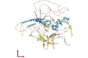 Protein Structure (PS) image for Small Nuclear RNA Activating Complex, Polypeptide 4, 190kDa (SNAPC4) (AA 1-1469) protein (His tag) (ABIN7555594)