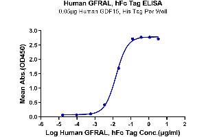 Immobilized Human GDF15, His Tag at 0. (GFRAL Protein (AA 19-351) (Fc Tag))