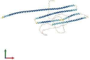 AlphaFold protein structure predicition of Human Recombinant SPDL1 Protein, UniprotID Q96EA4 (CCDC99 Protein (AA 1-605) (His tag))