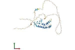 AlphaFold protein structure predicition of Mouse Recombinant Spry1 Protein, UniprotID Q9QXV9
