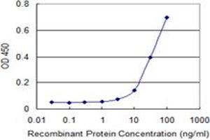Detection limit for recombinant GST tagged S100A5 is 3 ng/ml as a capture antibody. (S100A5 抗体  (AA 1-90))
