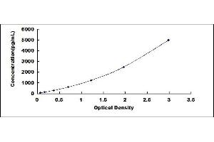 Typical standard curve (Multimerin 1 ELISA 试剂盒)