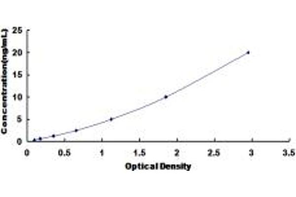 PCYOX1 ELISA 试剂盒