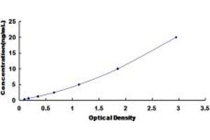 Typical standard curve (PCYOX1 ELISA 试剂盒)