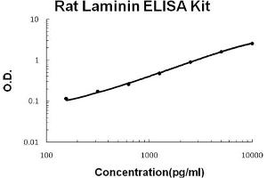 Rat Laminin Accusignal ELISA Kit Rat Laminin AccuSignal ELISA Kit standard curve. (Laminin ELISA 试剂盒)
