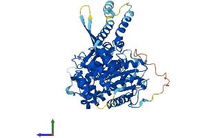 Protein Structure (PS) image for Syntaxin Binding Protein 2 (STXBP2) (AA 1-593) protein (His tag) (ABIN7544049)