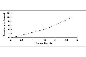 Typical standard curve (LRP2 ELISA 试剂盒)