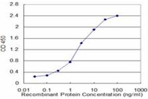 Detection limit for recombinant GST tagged STAT5A is approximately 0. (STAT5A 抗体  (AA 1-104))