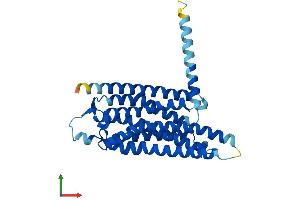 Protein Structure (PS) image for Adenosine A3 Receptor (ADORA3) (AA 1-319) protein (His tag) (ABIN7557722)