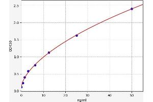 Typical standard curve (Ly6C ELISA 试剂盒)