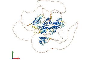 Protein Structure (PS) image for Bicaudal C Homolog 1 (BICC1) (AA 1-974) protein (His tag) (ABIN7552805)