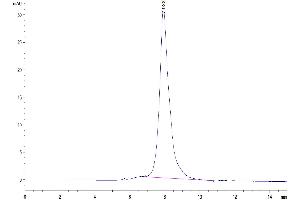 Size-exclusion chromatography-High Pressure Liquid Chromatography (SEC-HPLC) image for C-Type Lectin Domain Family 9, Member A (CLEC9A) (AA 57-241) protein (Fc Tag) (ABIN7274357)