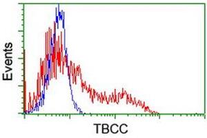 HEK293T cells transfected with either RC203563 overexpress plasmid (Red) or empty vector control plasmid (Blue) were immunostained by anti-TBCC antibody (ABIN2455773), and then analyzed by flow cytometry. (TBCC 抗体)