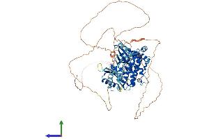 Protein Structure (PS) image for MAP/microtubule Affinity-Regulating Kinase 4 (MARK4) (AA 1-752) protein (His tag) (ABIN7564597)