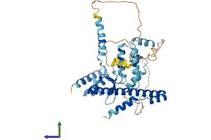 AlphaFold protein structure predicition of Mouse Recombinant Dnajb14 Protein, UniprotID Q149L6