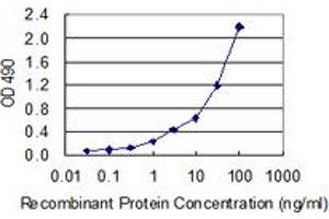 Sandwich ELISA detection sensitivity ranging from 0. (SP100 (人) Matched Antibody Pair)
