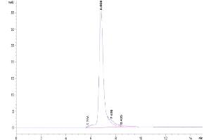 Size-exclusion chromatography-High Pressure Liquid Chromatography (SEC-HPLC) image for Thrombospondin, Type I, Domain Containing 7A (THSD7A) (AA 48-1607) protein (His tag) (ABIN7275725)