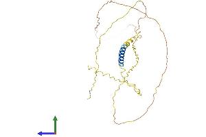 Protein Structure (PS) image for Chromosome 4 Open Reading Frame 49 (C4orf49) (AA 1-283) protein (His tag) (ABIN7559950)