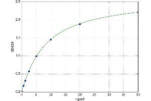 A typical standard curve