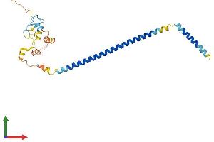 Protein Structure (PS) image for Ring Finger Protein 187 (RNF187) (AA 1-236) protein (His tag) (ABIN7558503)