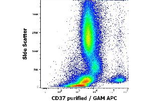 Flow cytometry surface staining pattern of human peripheral whole blood stained using anti-human CD37 (MB-1) purified antibody (concentration in sample 0,2 μg/mL, GAM APC). (CD37 抗体)