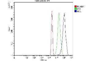 Flow Cytometry analysis of HL-60 cells using anti-NCL antibody (ABIN7600662). (Nucleolin 抗体  (AA 219-629))