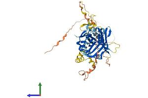 AlphaFold protein structure predicition of Human Recombinant TEAD2 Protein, UniprotID Q15562