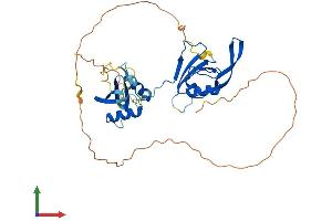 Protein Structure (PS) image for Par-6 Partitioning Defective 6 Homolog beta (PARD6B) (AA 1-371) protein (His tag) (ABIN7561623)