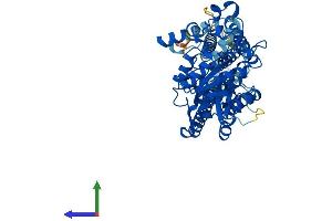 Protein Structure (PS) image for glycerophosphodiester phosphodiesterase Domain Containing 2 (GDPD2) (AA 1-539) protein (His tag) (ABIN7561475)