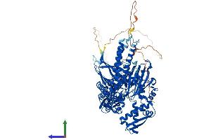 AlphaFold protein structure predicition of Mouse Recombinant Hspa4l Protein, UniprotID P48722