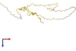 AlphaFold protein structure predicition of Human Recombinant KLLN Protein, UniprotID B2CW77 (KLLN Protein (AA 1-178) (His tag))