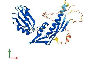 AlphaFold protein structure predicition of Mouse Recombinant Rdm1 Protein, UniprotID Q9CQK3