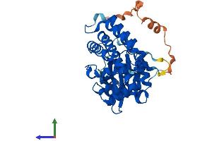Protein Structure (PS) image for Ethanolamine Kinase 2 (ETNK2) (AA 1-385) protein (His tag) (ABIN7562021)