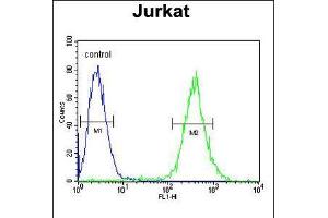 Flow cytometric analysis of Jurkat cells (right histogram) compared to a negative control cell (left histogram). (GLRX5 抗体  (C-Term))