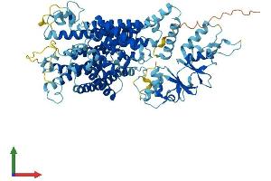 Protein Structure (PS) image for Chloride Channel 4 (CLCN4) (AA 1-760) protein (His tag) (ABIN7553504)
